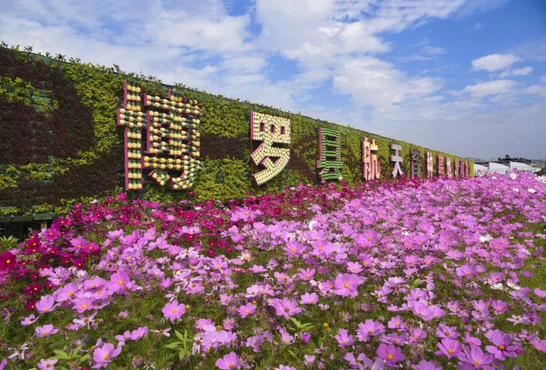 惠州罗浮山酥醪景区盆菜,罗浮山盆菜