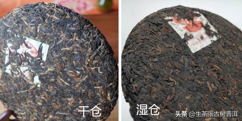 普洱茶知识科普从入门到高手,普洱茶入门知识这篇最全最靠谱