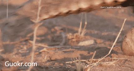 绌垮北鐢叉悶绗慻if,绌垮北鐢叉悶绗戣棰慻if