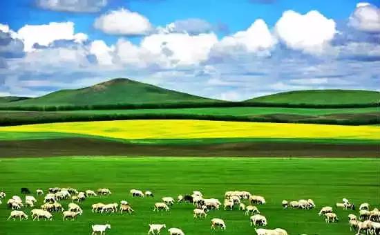 全国各地零食特产一览表,全国各地特产小吃一览表