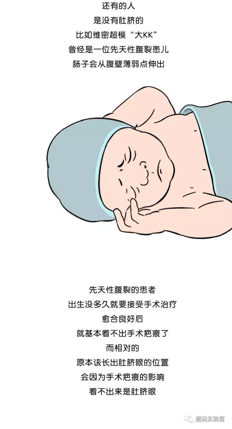 人类身上的第一道疤痕---肚脐眼，好神奇！（漫画）