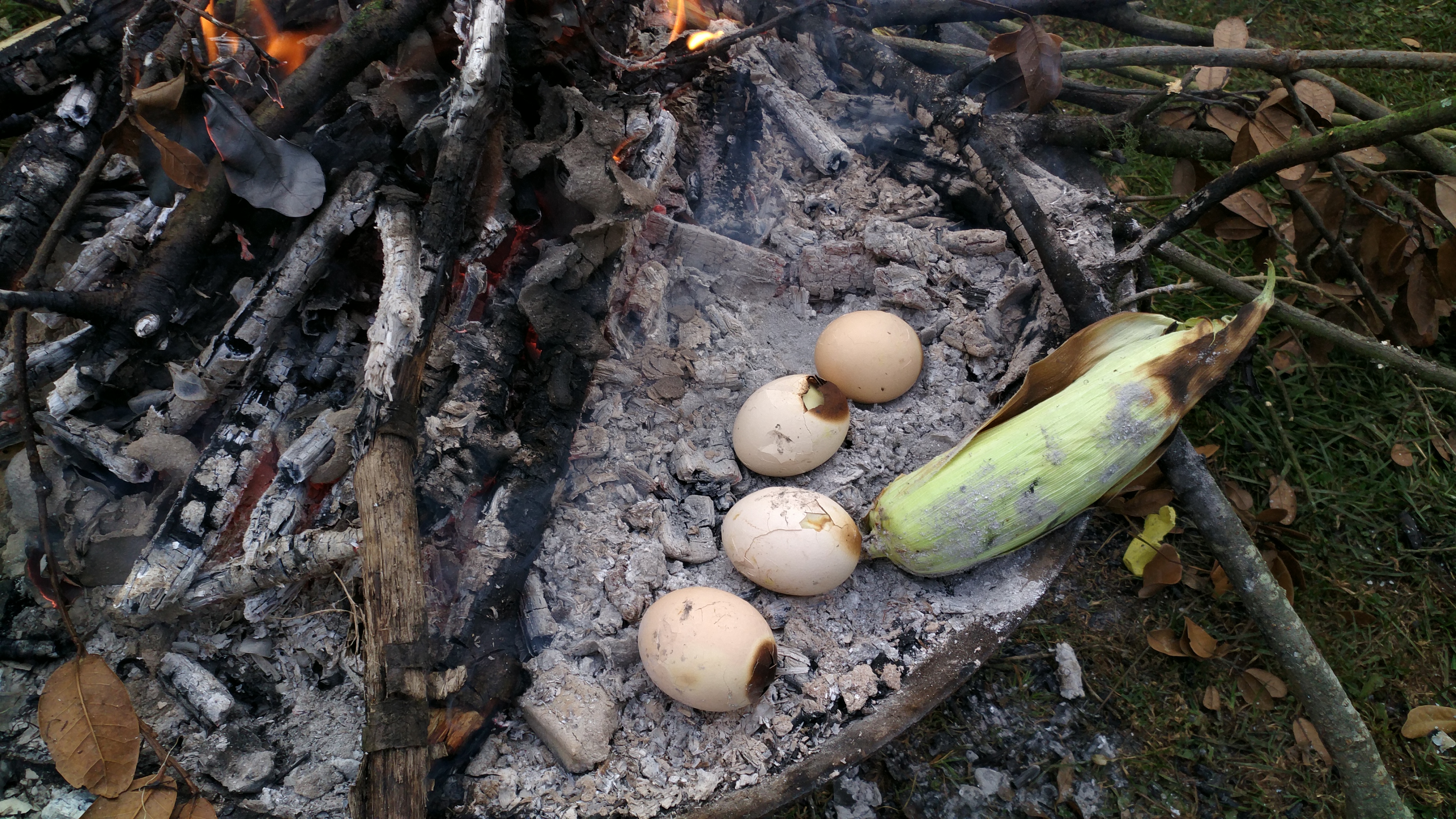 昆明团山湿地露营,昆明寻甸草原露营多少钱