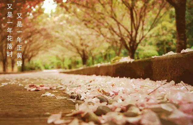 不是谁都会喜欢对你好,不是每次爱都需要表白吗