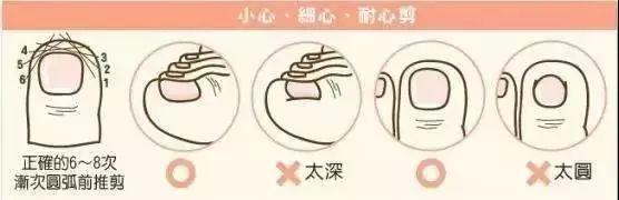 德国进口钛合金指甲刀,德国精工超薄指甲刀