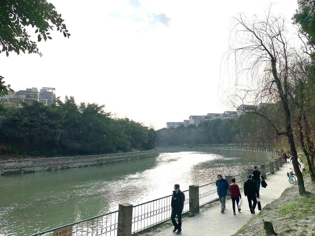 成都绿道风景美如画,成都周边哪条河边绿道最美