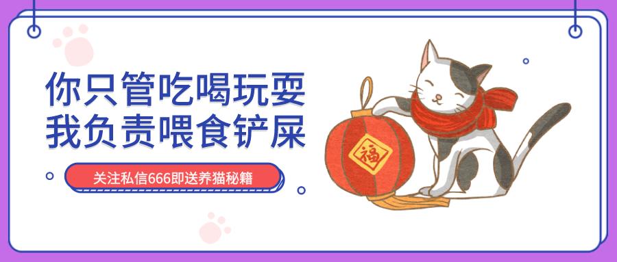 猫咪绝育后还能配猫吗,猫咪绝育冷知识