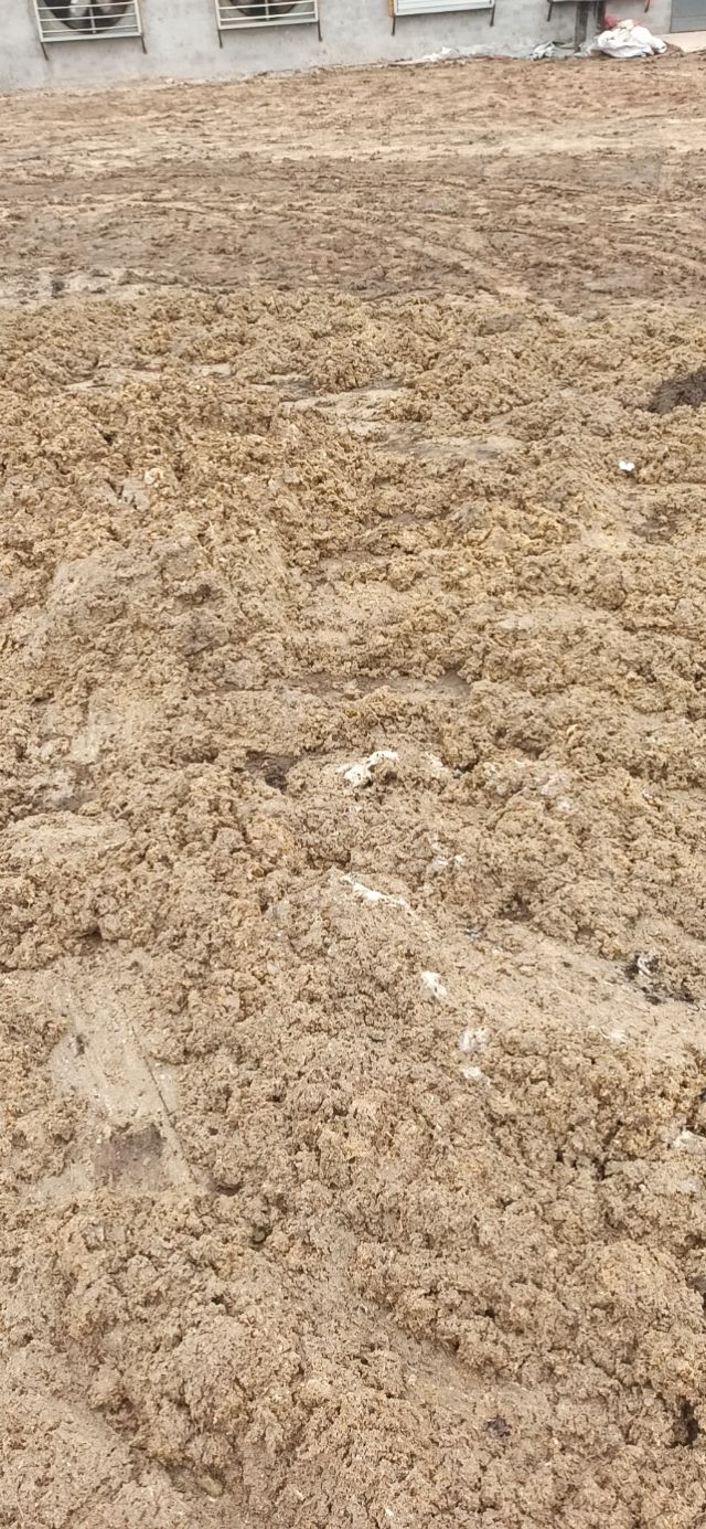 鸡病预防工作,鸡病防控措施有哪些