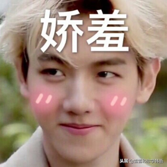 宋慧乔男友韩国综艺节目,宋慧乔韩剧男朋友发布会