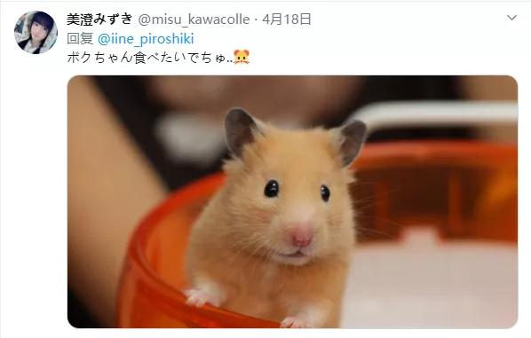纳尼？为什么日本人不会嗑瓜子？看到中国人单手“吃”惊呆！