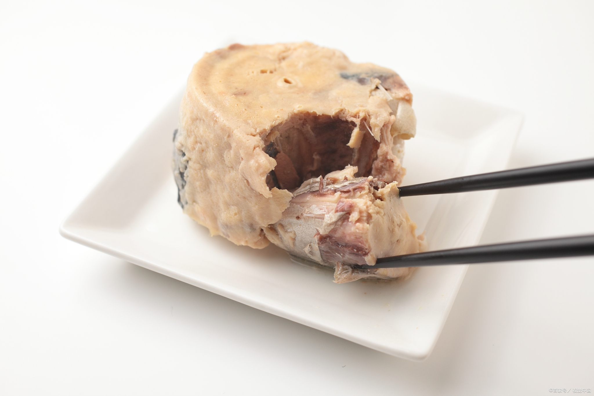 猫主粮做法,猫主粮有哪些种类