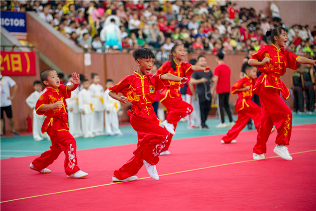 广东体育一周资讯回顾