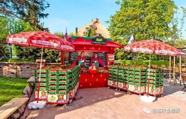 用一颗草莓吸引5百万游客，开5家主题乐园、4家超市、300个草莓屋
