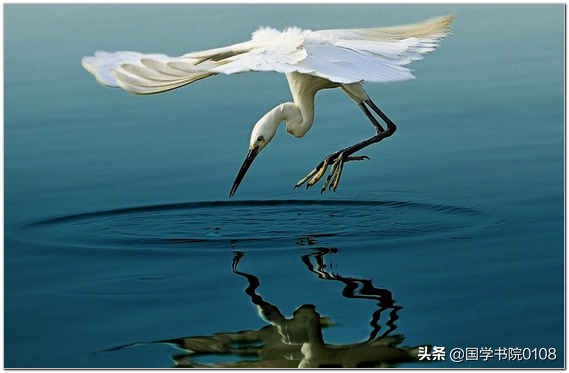 中华经典大聪颖,读懂这十句古语