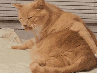 艾滋病窗口期皮肤瘙痒挠了会怎样,浑身皮肤瘙痒越挠越痒怎么解决