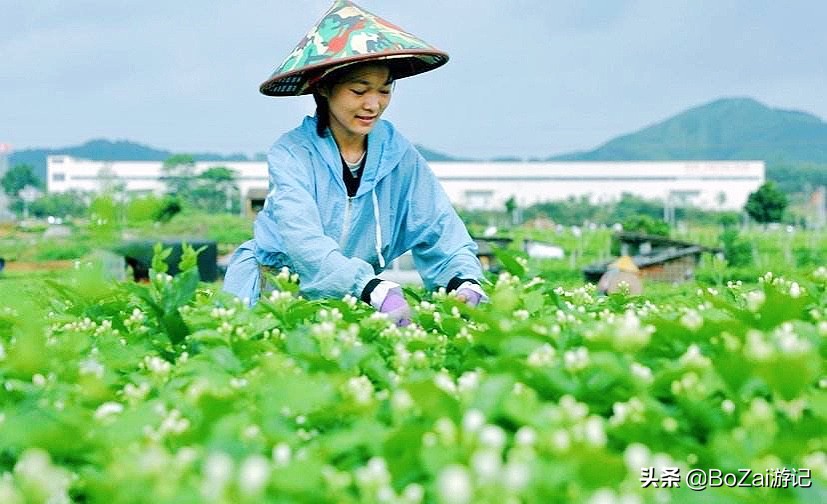 广西乡下田园最美风景图片,广西十大最美风景区