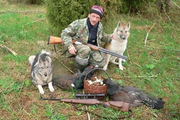 莫斯科宠物展会,莫斯科宠物用品批发市场