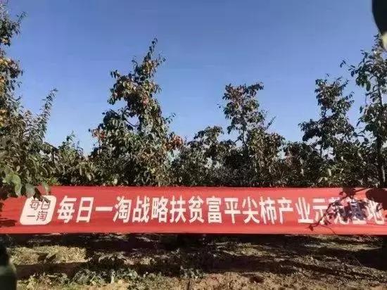 社交电商创新机会,社交电商模式可以做什么