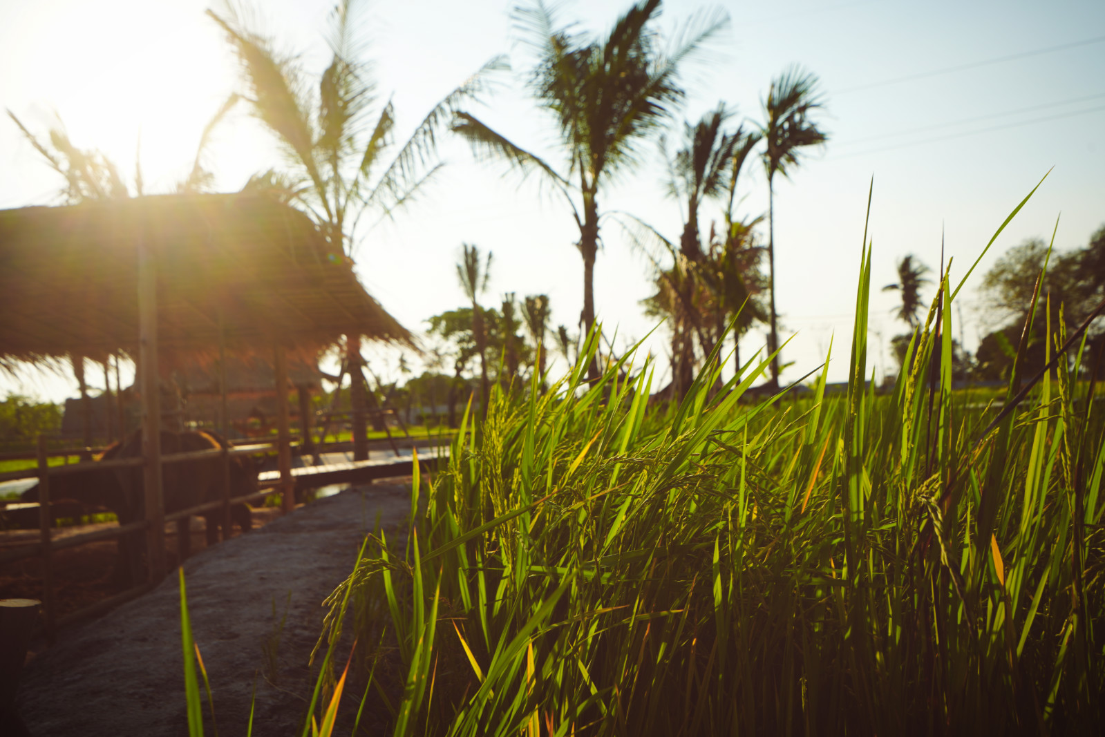 泰国暹罗主题公园,曼谷暹罗古城72府游览