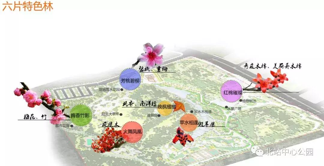 实拍深圳的一座公园,深圳有足球场的公园