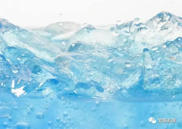 猫咪脱水说明什么问题,猫咪怎样才算是脱水