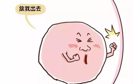 南昌华儿山科普讲堂：怀孕要好的卵泡，好卵泡的标准是什么呢？