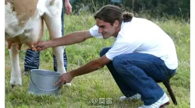 奶牛乳房炎反复发作咋办,奶牛乳腺炎用手挤奶正确手法