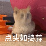 路口走错车道一定会被罚吗,路口走错怎么办