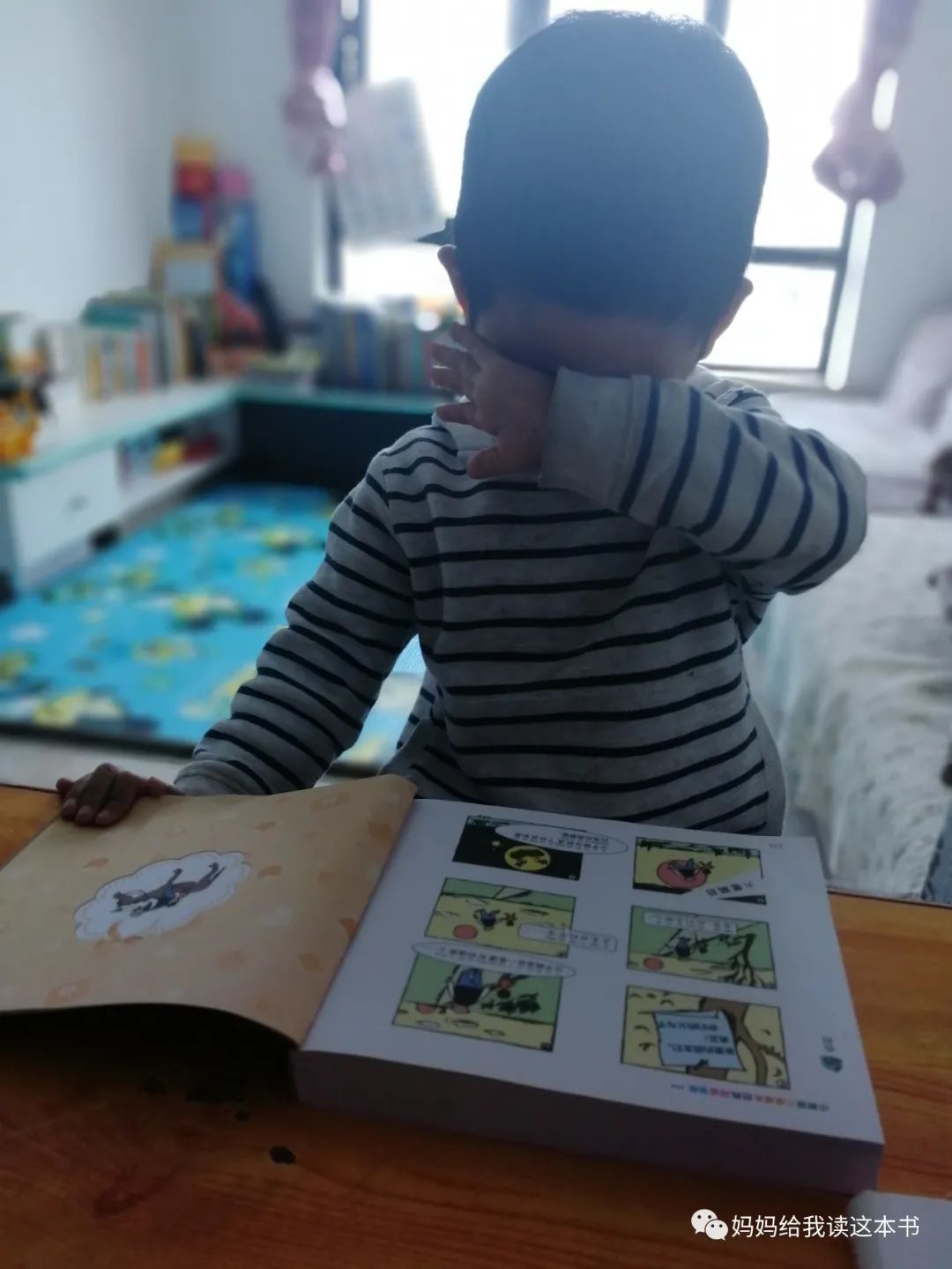 绘本书怎么分类,绘本包罗万象