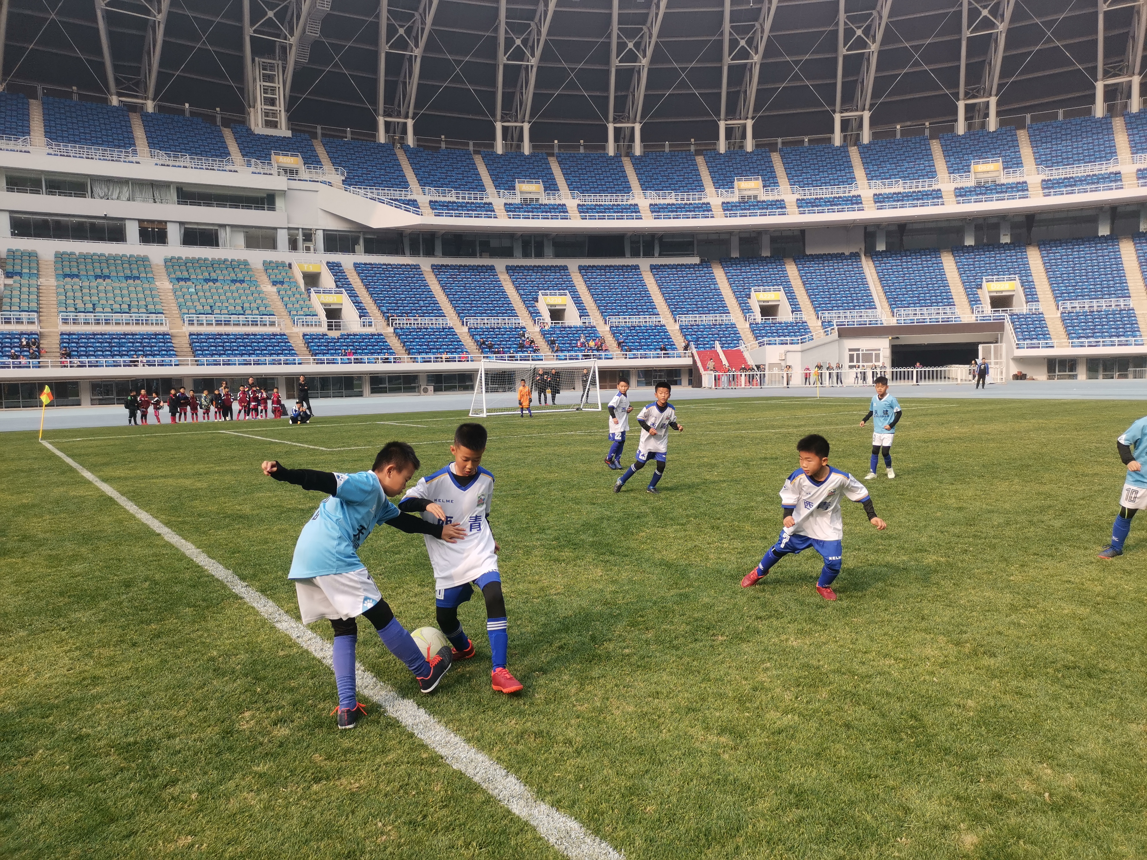 天津2020基地杯青少年足球赛,天津市青少年足球联赛
