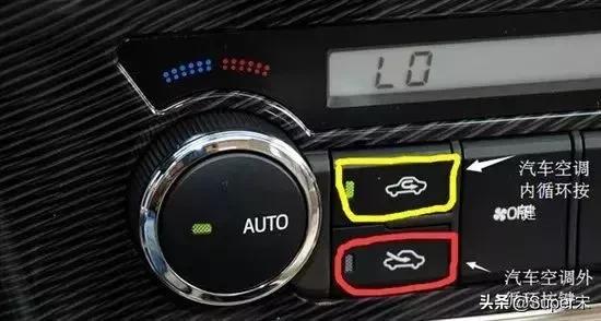 地下车库停车老鼠会不会钻到车里,老鼠进车里从哪里进去的怎么预防