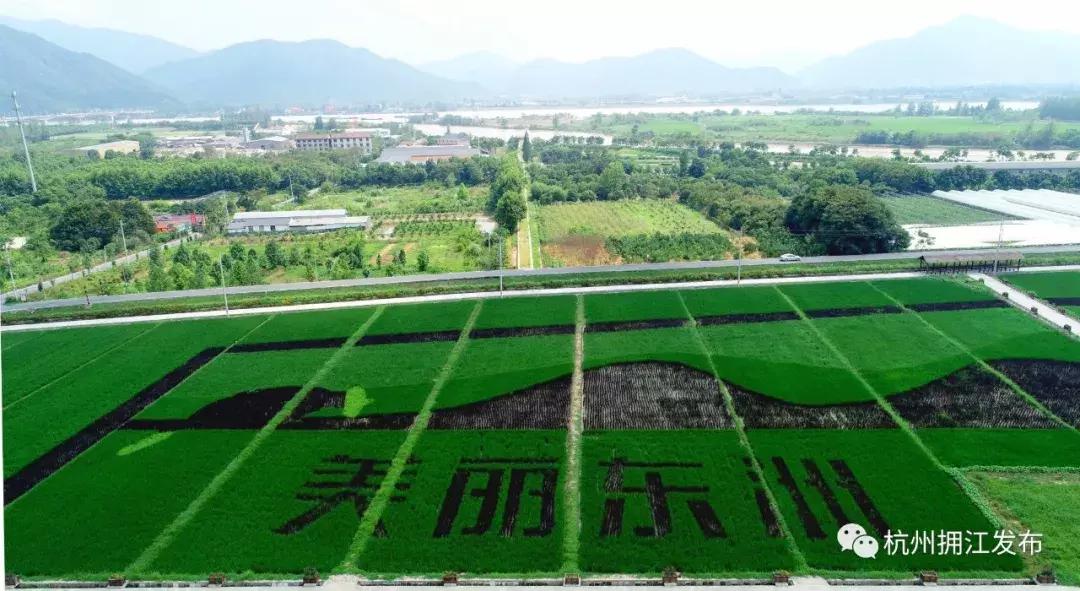 震撼！钱塘江畔出现巨型画作，有28个足球场这么大！