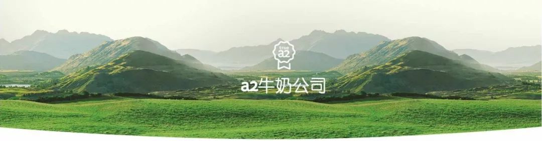 婢虫柊a2,婢虫柊濂剁矇a2