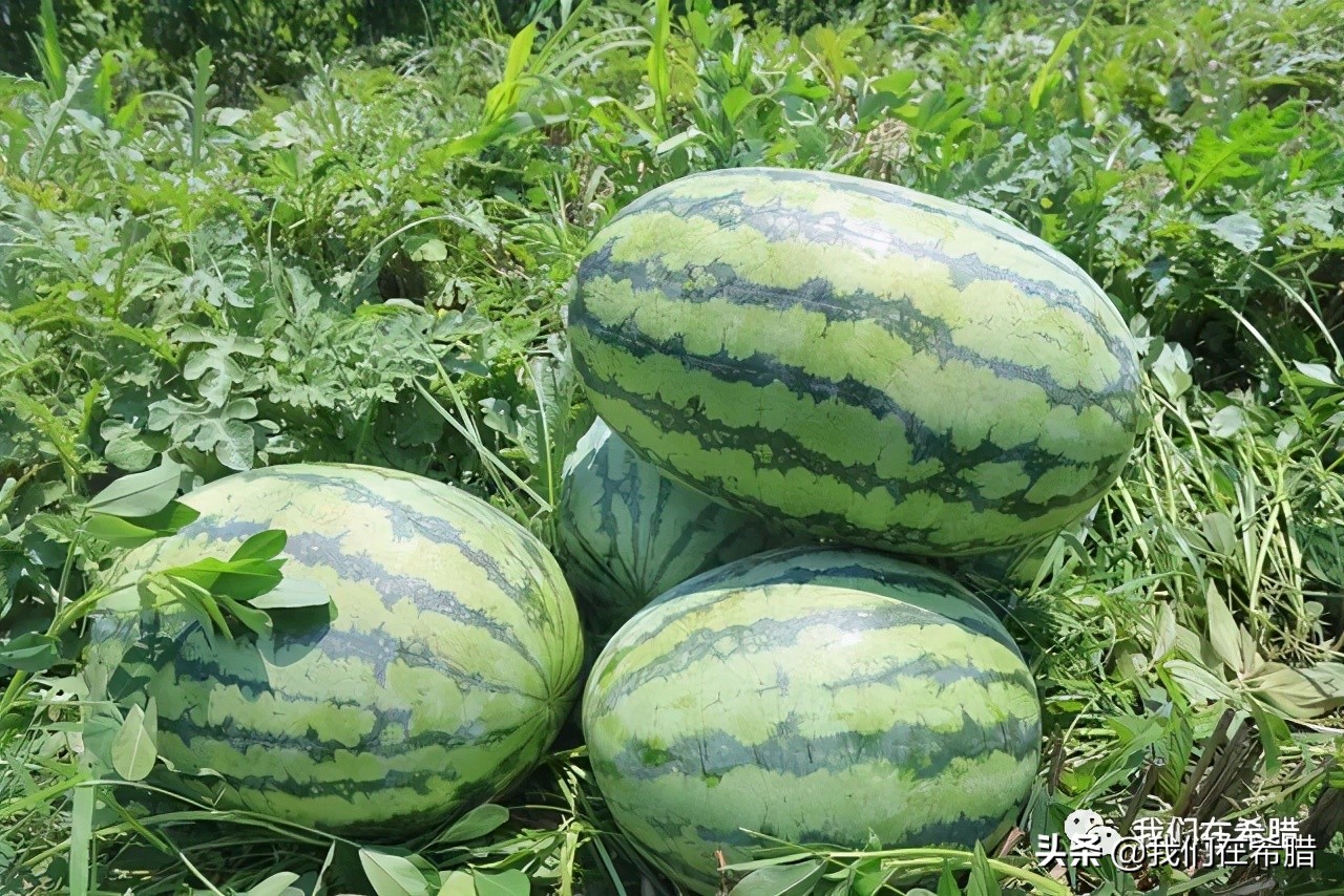 希腊是欧洲西部的吗,希腊是属于北方还是南方的