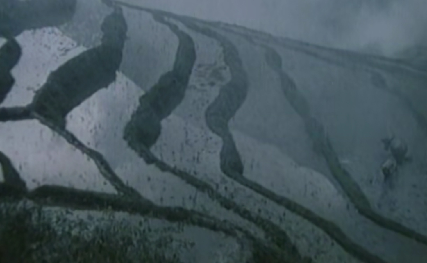 杏仙童养媳,良家妇女童养媳电视剧全集