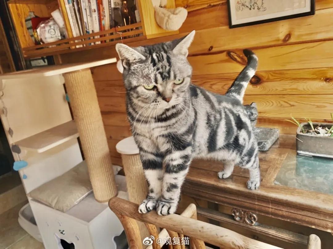 大家期盼的真实事件,掉缸事件怎么处理