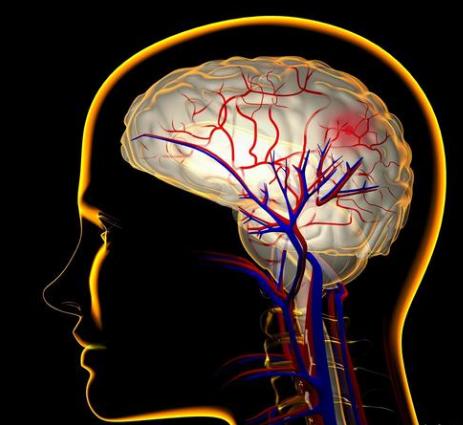 汉邦古中医教学视频,中医心脏急救穴位针灸