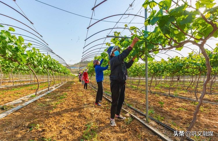 巩义提出新发展目标,巩义市小关村2020规划