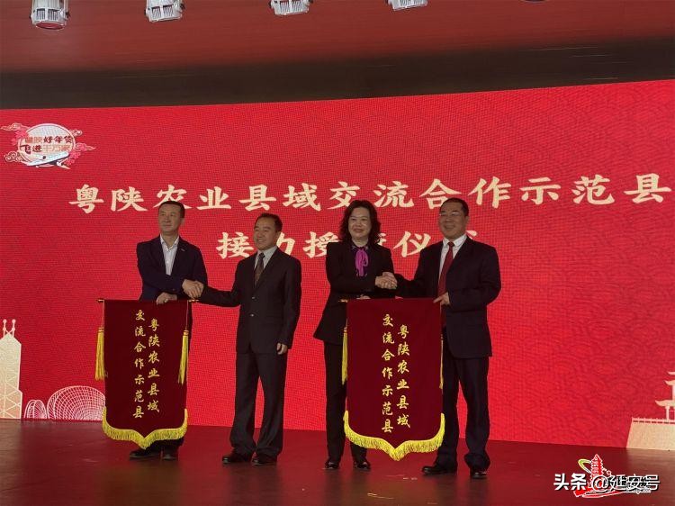 粤陕合作放大招！宝塔“延安苹果”走俏年货节！