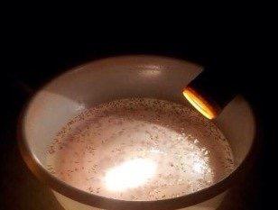 梅雨季节爆发的飞蚁，带着特有的“部落习俗”入侵南方