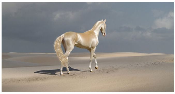 汗血宝马一千多万,汗血宝马过亿的有吗