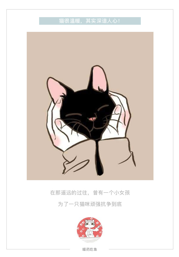 如何让胆小的猫咪喜欢上你,怎么让一只胆小的猫咪胆子变大