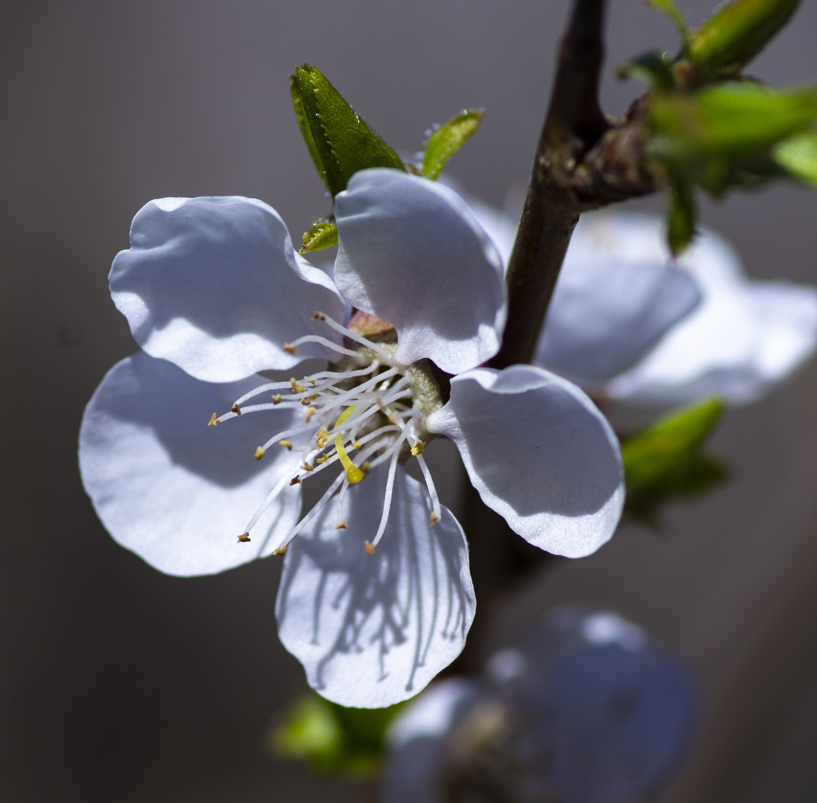 塞外江南处处是美景,塞外风光江南水乡