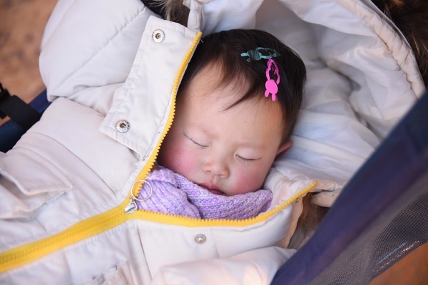 这个冬天特别冷没办法旅游,冬天这么冷的天还能出去玩吗