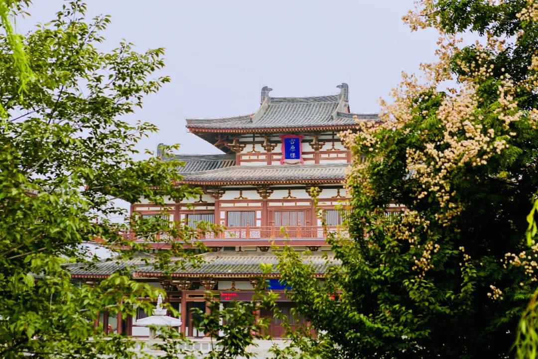 闆佸citywalk濂栭」璇勬瘮 (闆佸citywalk绾胯矾璁捐澶ц禌)