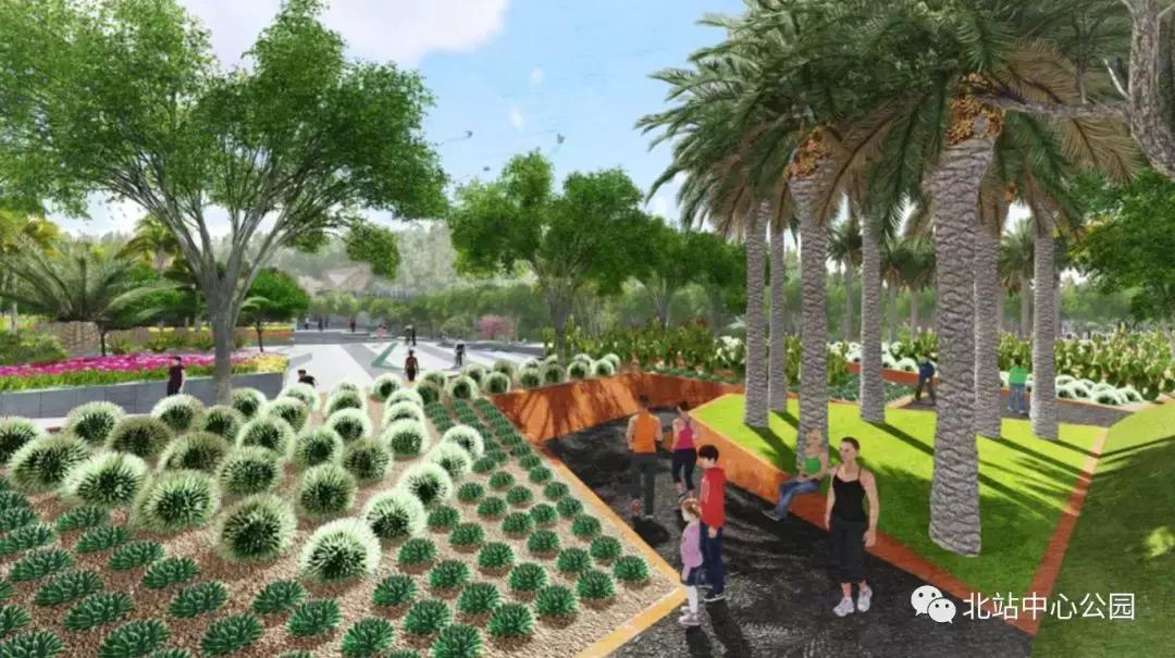 深圳将建8万人专业足球场,全国最大足球公园