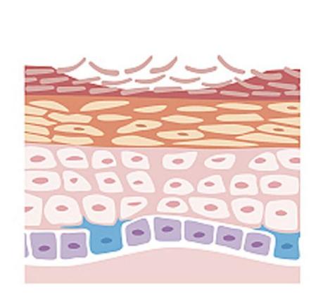 又快又安全的修眉刀,什么样的修眉刀适合新手使用女生