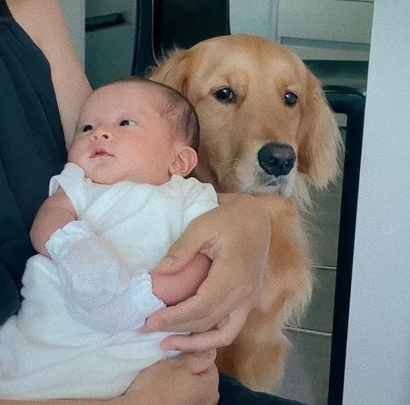 怀孕了，就把狗扔了吧，多脏啊