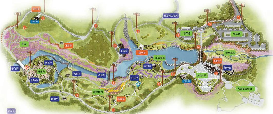 深圳花海景区推荐图片大全,深圳哪里有大片花海