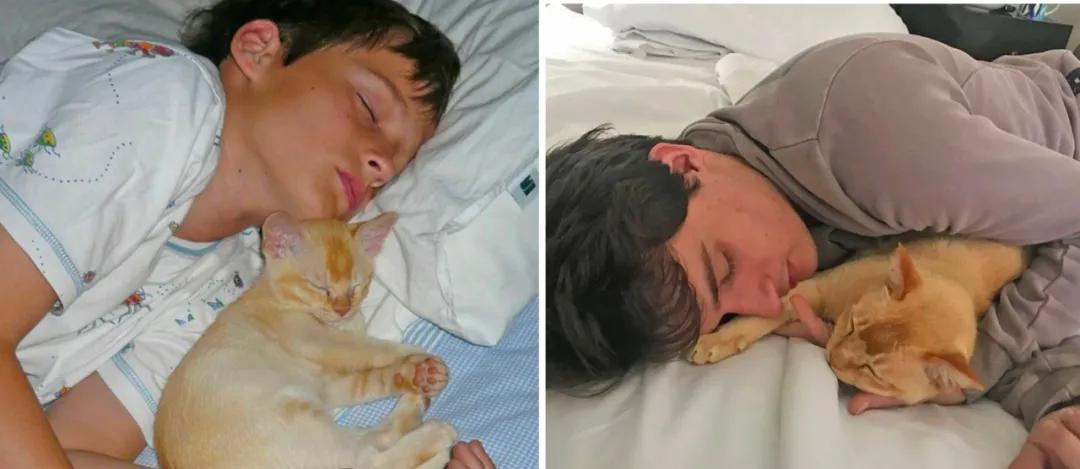 珍贵照片猫咪,猫咪和主人令人惊艳的合照