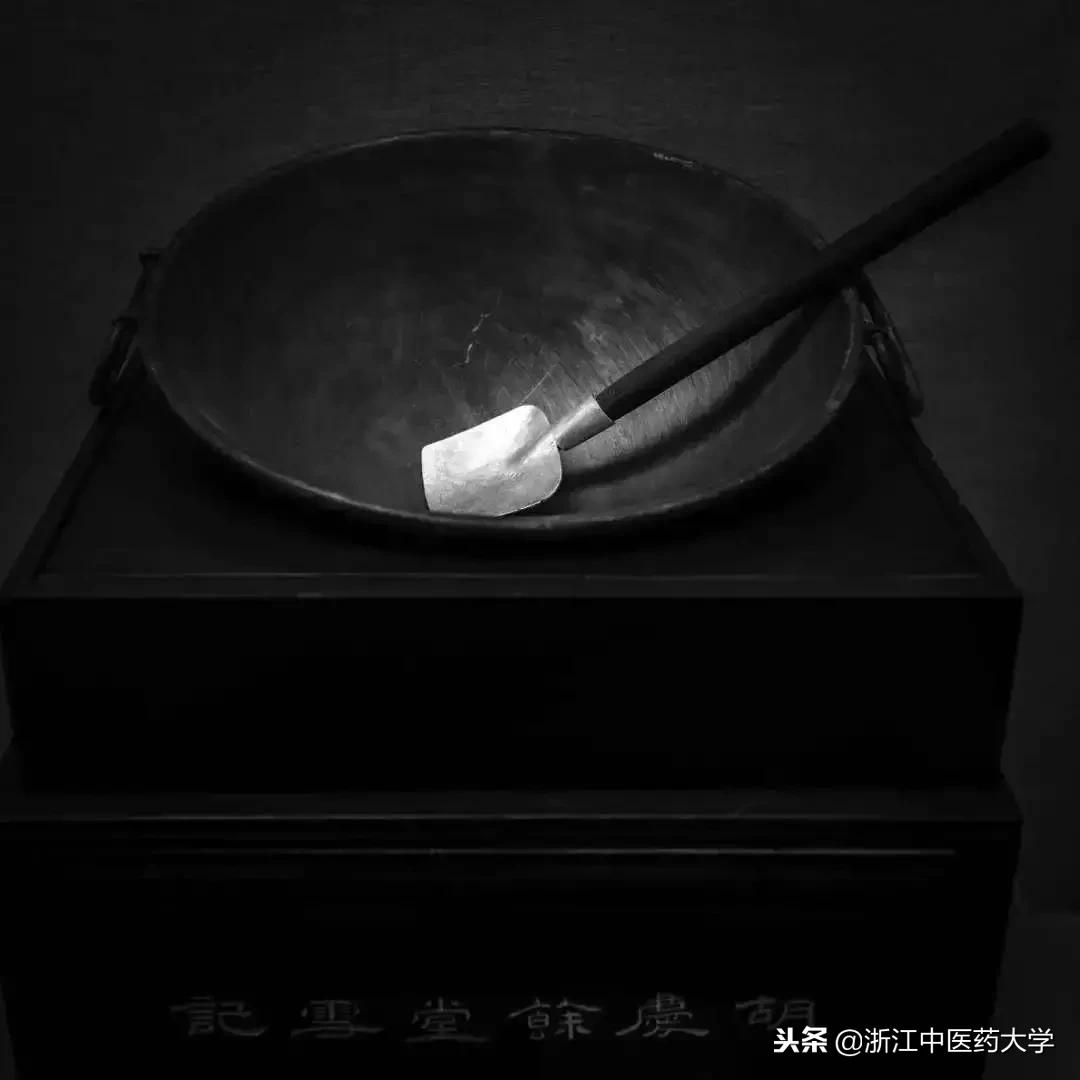 用镜头诉说中医药之美